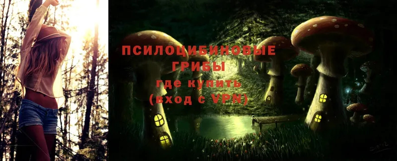 Псилоцибиновые грибы Magic Shrooms  Кузнецк 